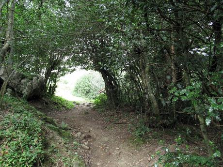 Ricao-L.laseiru-La Cardosina