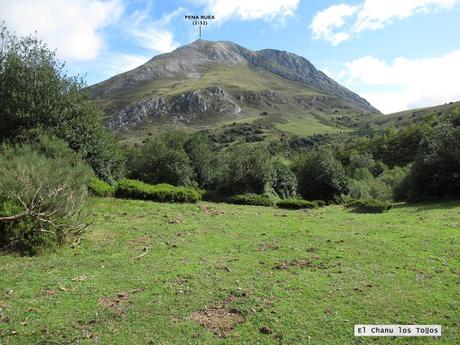 Ricao-L.laseiru-La Cardosina