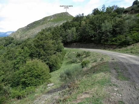 Ricao-L.laseiru-La Cardosina