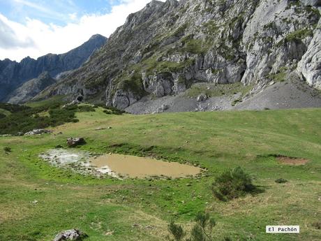 Ricao-L.laseiru-La Cardosina