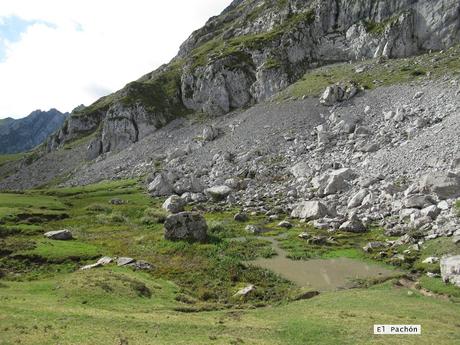 Ricao-L.laseiru-La Cardosina