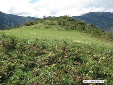 Ricao-L.laseiru-La Cardosina