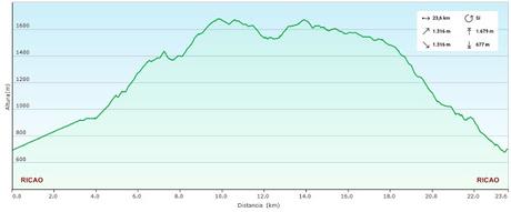 Ricao-L.laseiru-La Cardosina