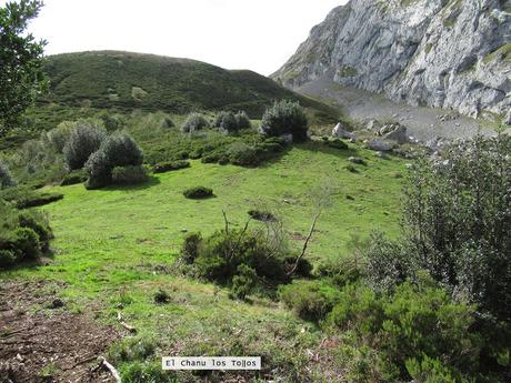 Ricao-L.laseiru-La Cardosina