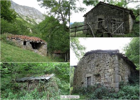 Ricao-L.laseiru-La Cardosina