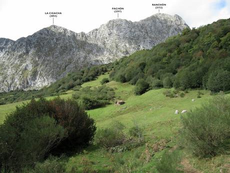 Ricao-L.laseiru-La Cardosina