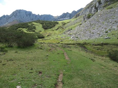 Ricao-L.laseiru-La Cardosina