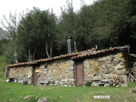 Ricao-L.laseiru-La Cardosina