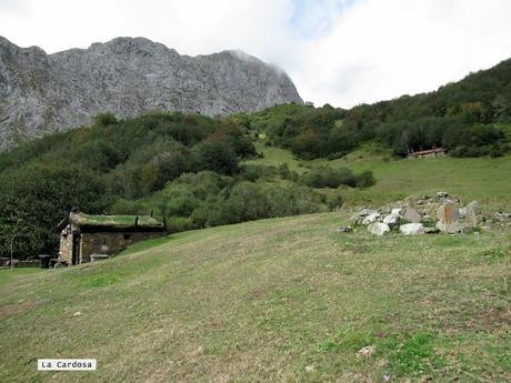 Ricao-L.laseiru-La Cardosina