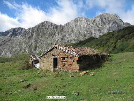 Ricao-L.laseiru-La Cardosina