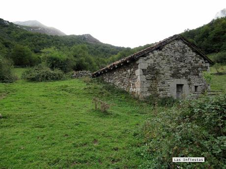 Ricao-L.laseiru-La Cardosina