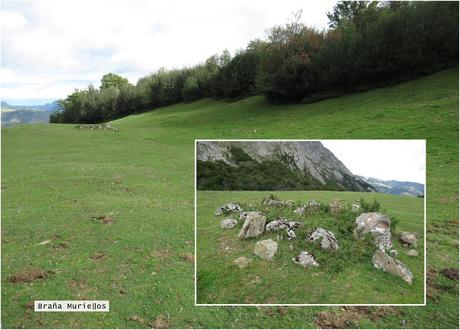 Ricao-L.laseiru-La Cardosina