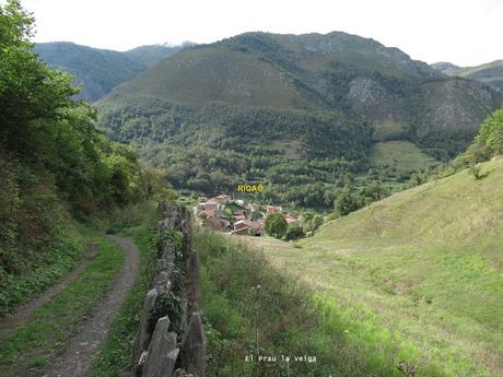 Ricao-L.laseiru-La Cardosina