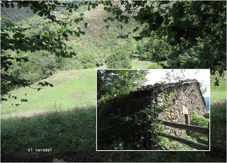 Ricao-L.laseiru-La Cardosina