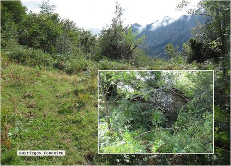 Ricao-L.laseiru-La Cardosina