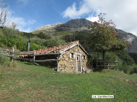 Ricao-L.laseiru-La Cardosina