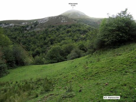 Ricao-L.laseiru-La Cardosina