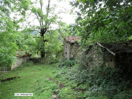 Ricao-L.laseiru-La Cardosina