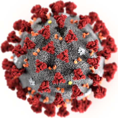 Las matemáticas del coronavirus Covid-19 Las matemáticas del coronavirus Covid-19