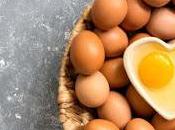 Consumir huevos ayudan inmunidad ante virus