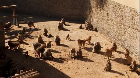 Noticias - 2009 Noticias - 2009