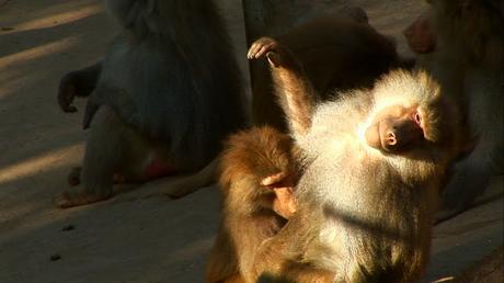 Noticias - 2009 Noticias - 2009