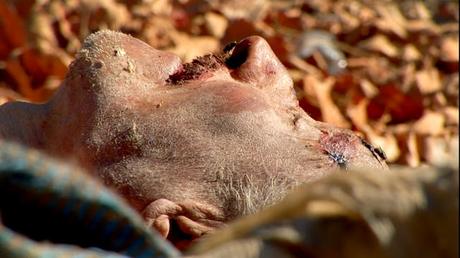 Noticias - 2009 Noticias - 2009