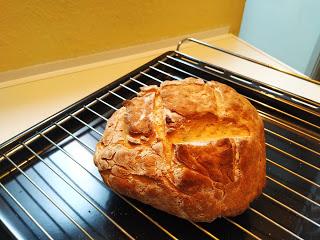 Crónicas mundanas del COVID-19 (D15)