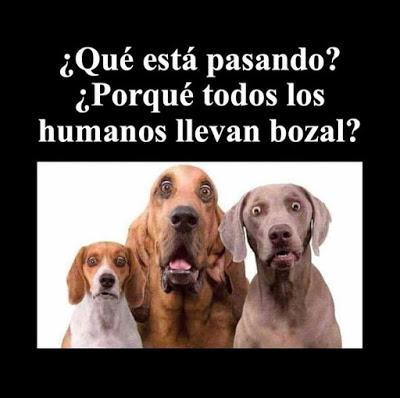 Este virus no es una guerra, es una catástrofe. Este virus no es una guerra, es una catástrofe.