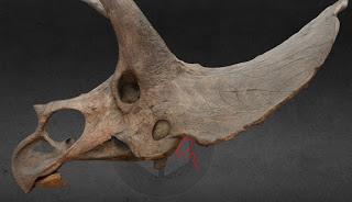 Corrigendum: la posición del oído de los dinosaurios (no avianos)