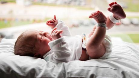 [A VUELAPLUMA] Bienvenido