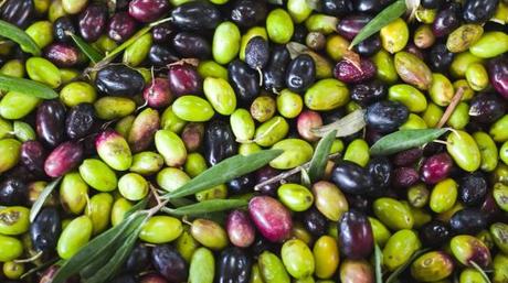 Aceite de oliva, tesoro mediterráneo
