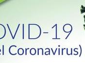 Toma decisiones pandemia