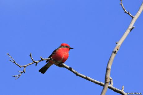 Villa Carlos Paz (noviembre 2019)