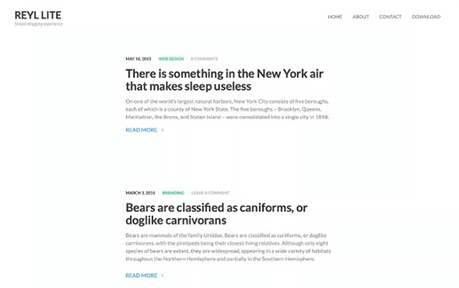 12 Fantásticas plantillas de WordPress para bloggers serios Reyl Lite