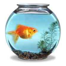 El “enchufismovirus” a debate en una España pedigüeña que a los ciudadanos de a pie nos causa vergüenza ajena.