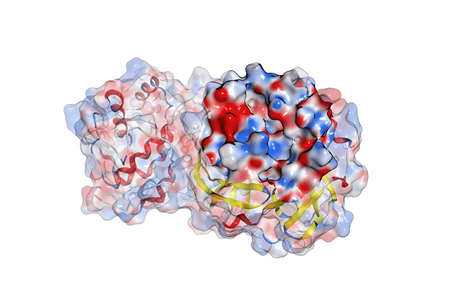 IQS desarrolla un potencial inhibidor de proteasa para combatir el COVID-19 IQS desarrolla un potencial inhibidor de proteasa para combatir el COVID-19
