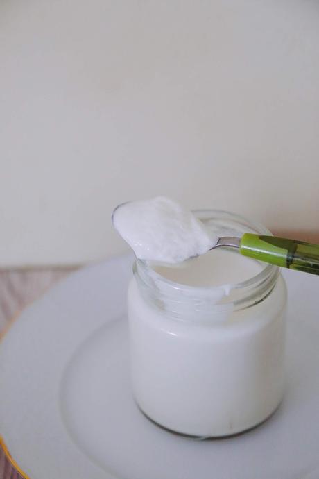 YOGUR CASERO