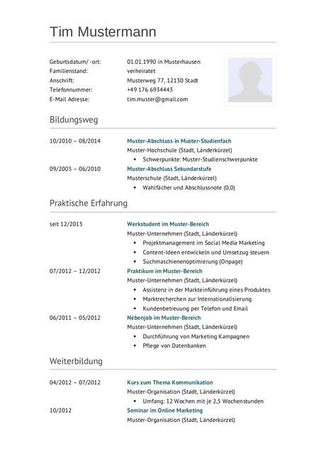 Lebenslauf Beispiel Bewerbung Sie Können Auch Alle Vorlagen Für Ihre Professionell Prinzipien Schneider