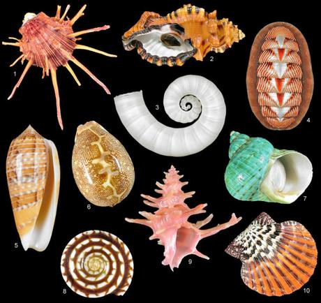 15 formas de generar una webshell – Parte 2 15 formas de generar una webshell – Parte 2