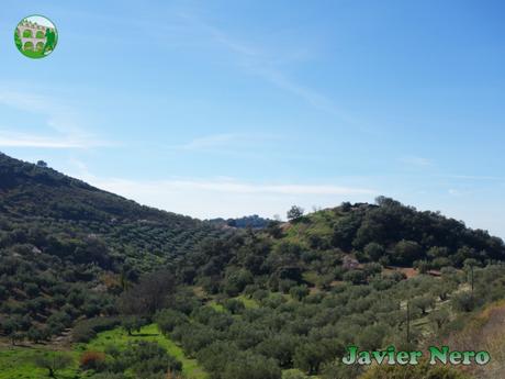 CERRO DE LA MERCED