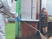 Mala: REALIZAN TRABAJOS LIMPIEZA DESINFECCIÓN MERCADOS...