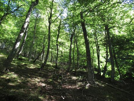 Páramo-Las Cadenas-Ventana-La Verde