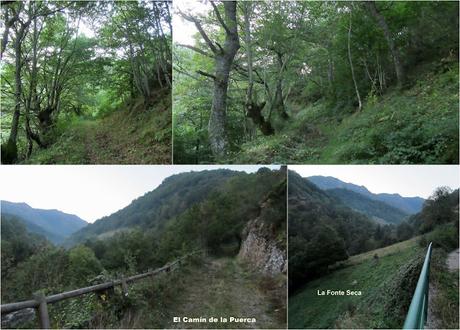 Páramo-Las Cadenas-Ventana-La Verde