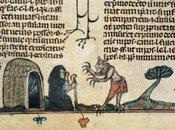 Domar animales interiores