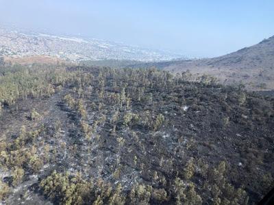 CONTROLAN INCENDIOS EN EL PARQUE ESTATAL SIERRA DE GUADALUPE