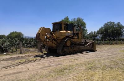 REALIZA EDOMÉX ACCIONES PARA MEJORAR LA SIEMBRA DE NOPAL EN LA ZONA DE LAS PIRÁMIDES