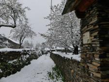 Primavera nevada (y confinada) en la Sierra Norte de Guadalajara