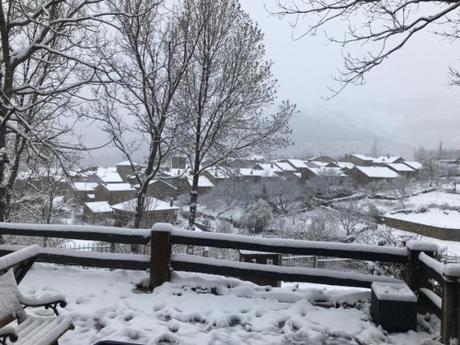 Primavera nevada (y confinada) en la Sierra Norte de Guadalajara