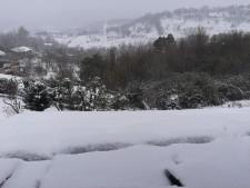 Primavera nevada (y confinada) en la Sierra Norte de Guadalajara